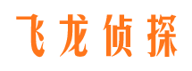 清水河侦探